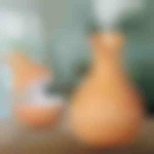 Wooden humidifier | HUMISTER